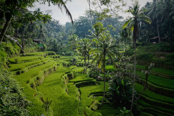 Klungkung