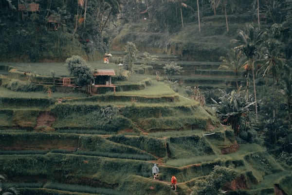 Ubud